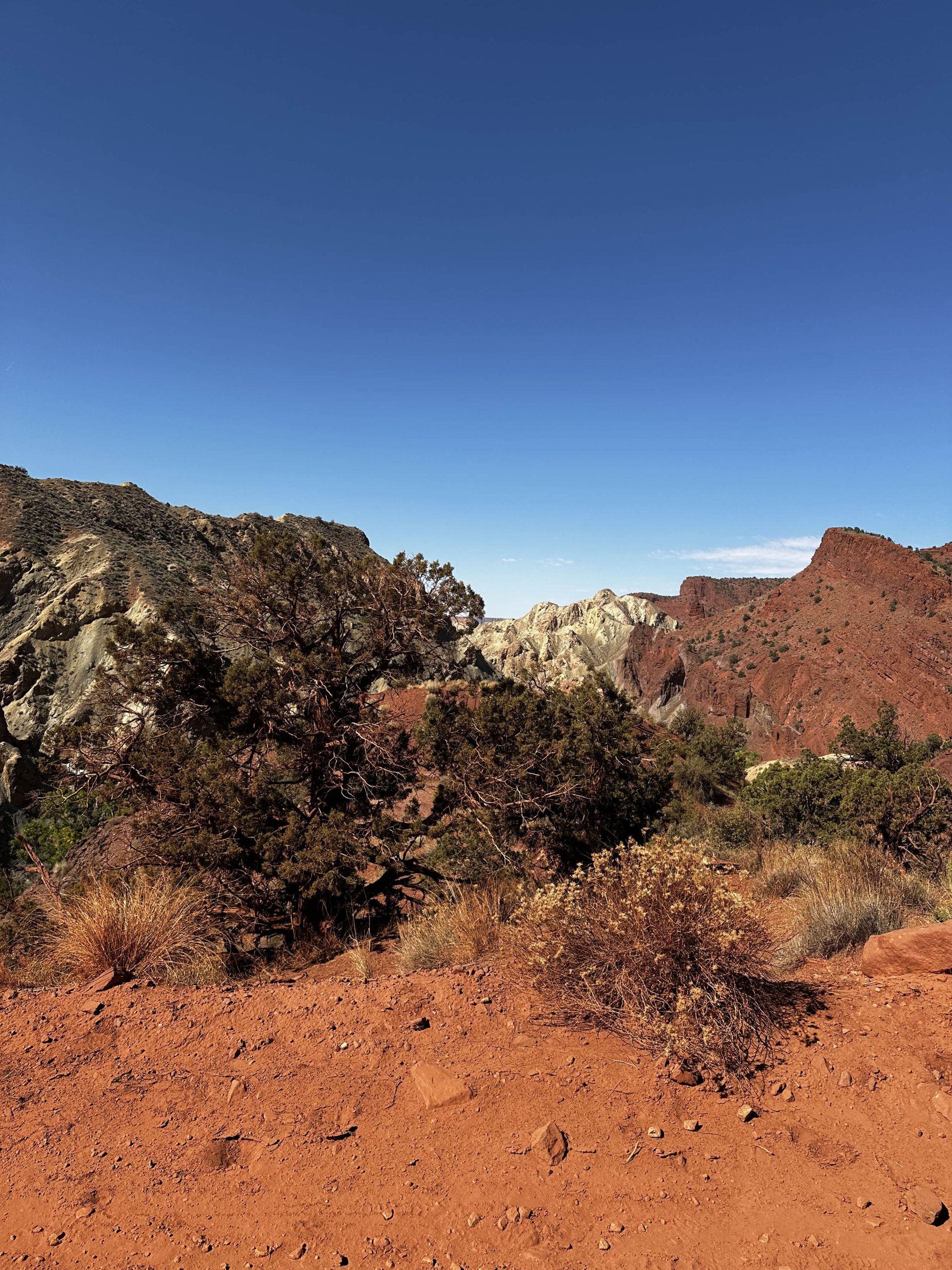 The Geology of the Paradox Basin and Implications for Deepwater Gulf of Mexico Exploration, Moab, Utah (G095)
